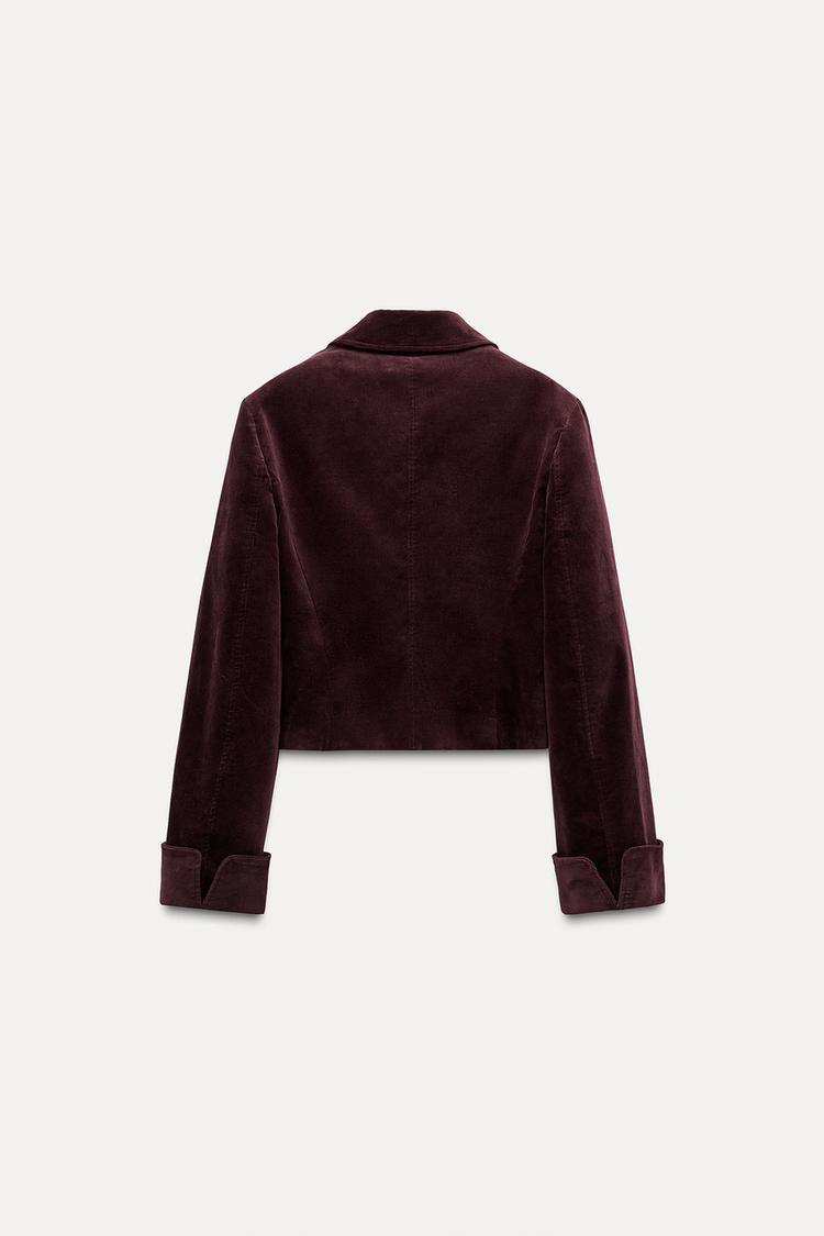 Zara CROPPED VELVET JACKET