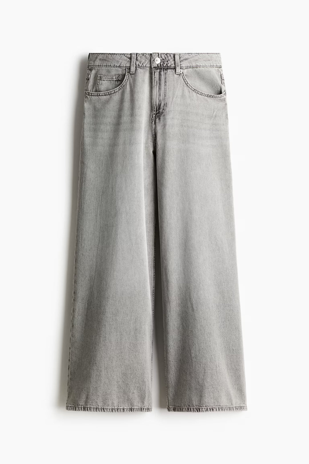 H&M Baggy Wide Low Jeans