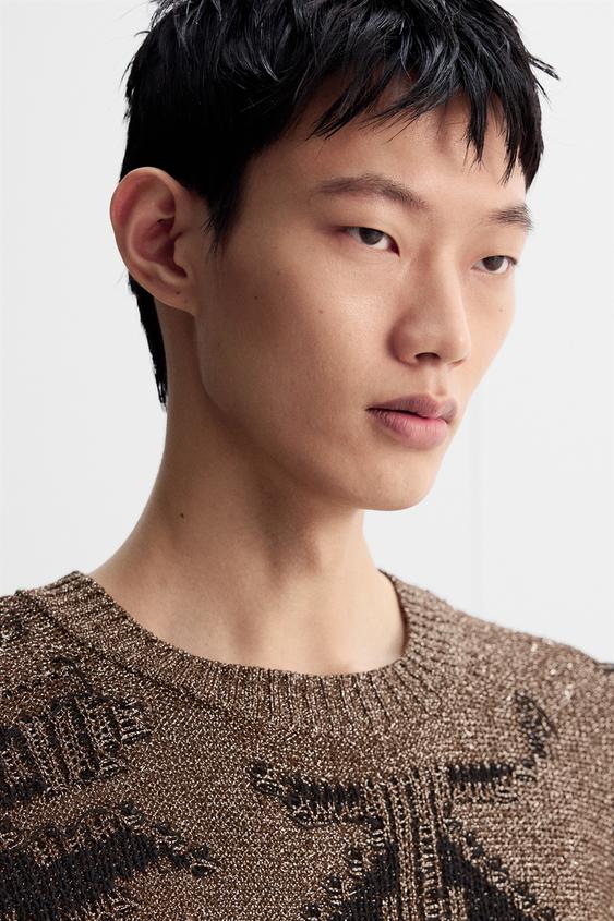 Zara SHINY OPEN KNIT SWEATER LIMITED EDITION