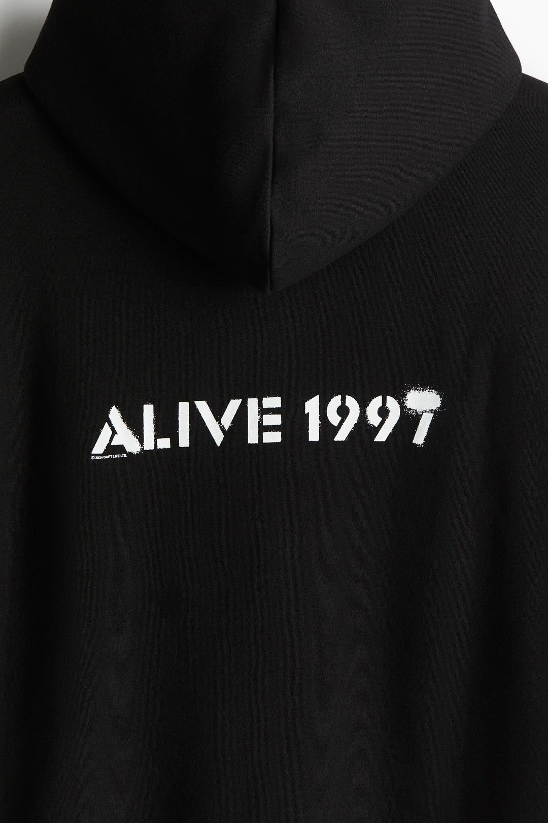 H&M Regular Fit Hoodie