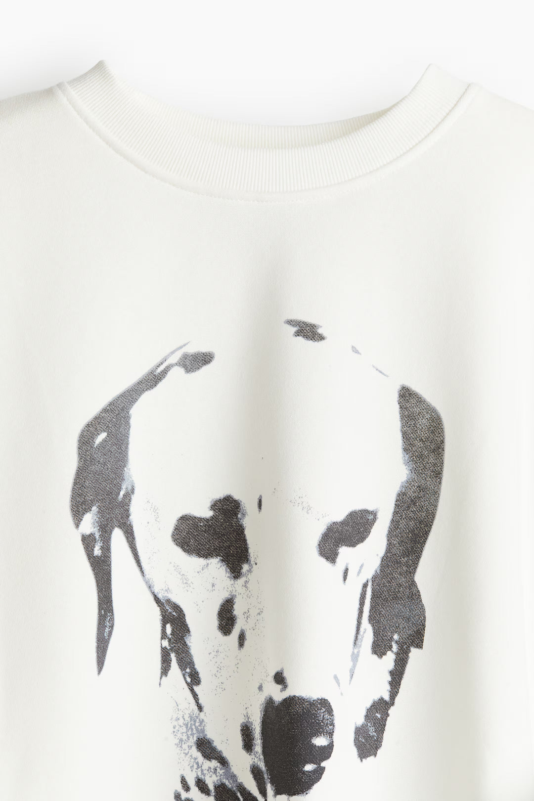 H&M Oversized Printed Sweatshirt