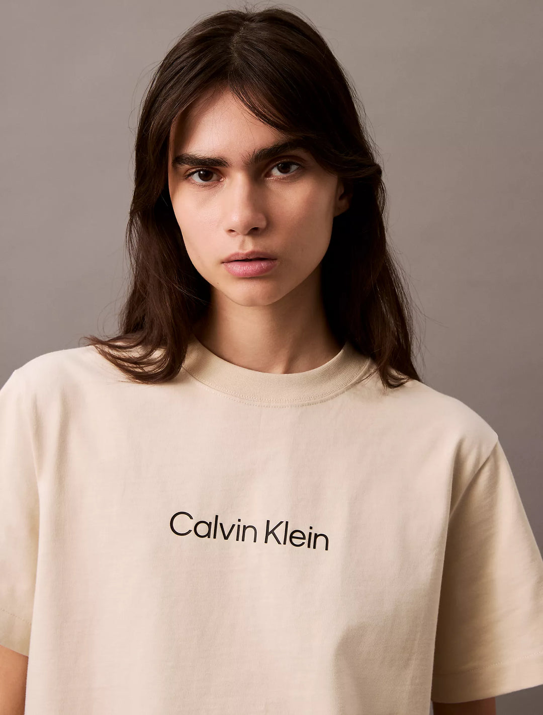 Calvin Klein Standard Logo Relaxed Crewneck T-Shirt