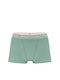 Seasalt Green