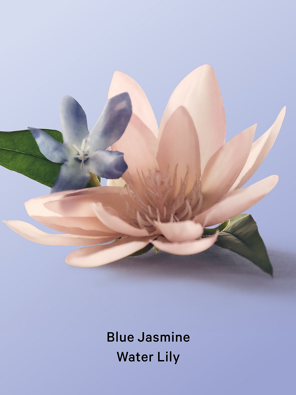 Victoria's Secret Body Care Blue Jasmine Water Lily Roll-on Deodorant