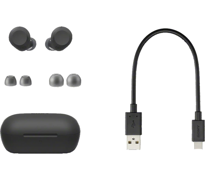 Sony WF-C710N Truly Wireless Noise Canceling Earbuds | Glass Blue