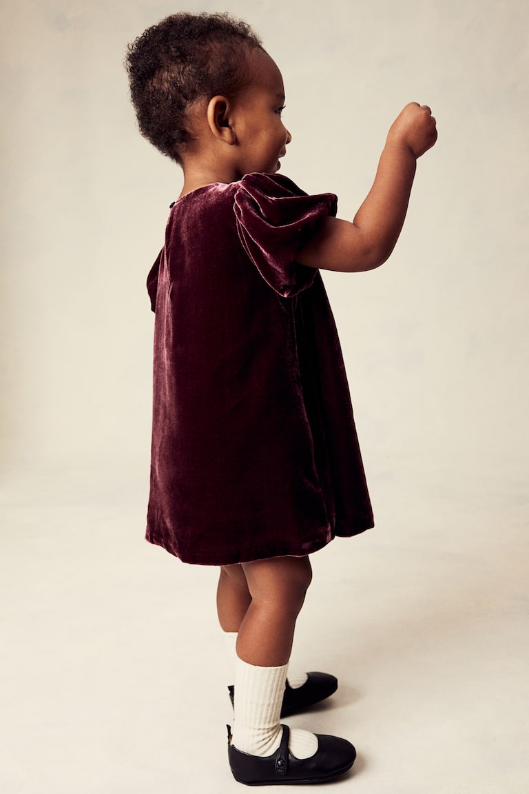H&M Silk-Blend Velvet Dress