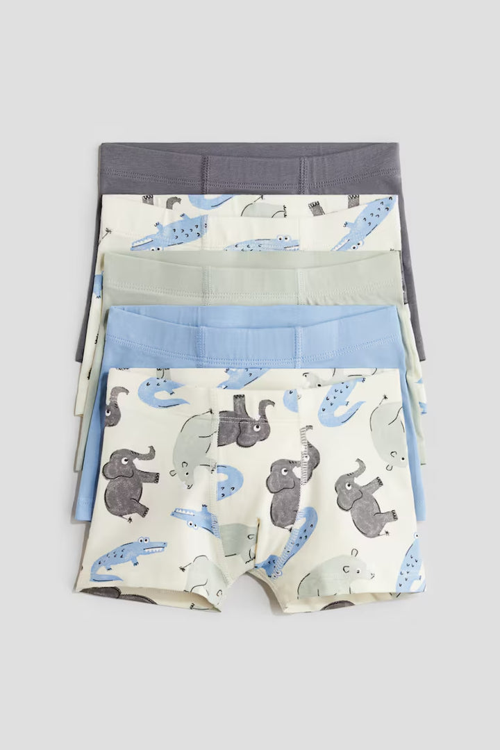 H&M 5-PACK BOXER BRIEFS