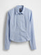 light blue/white