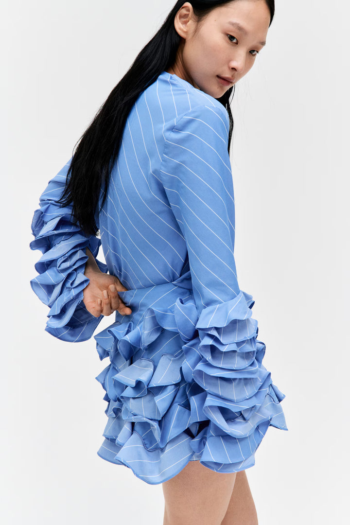 H&M Ruffle-Sleeved Blouse
