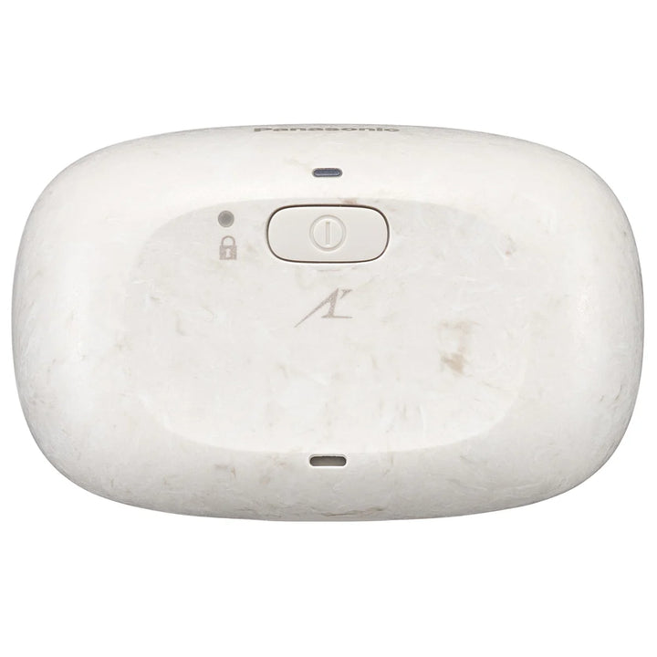 Panasonic ARC5 PALM-sized 5-Blade Electric Luxury Razor