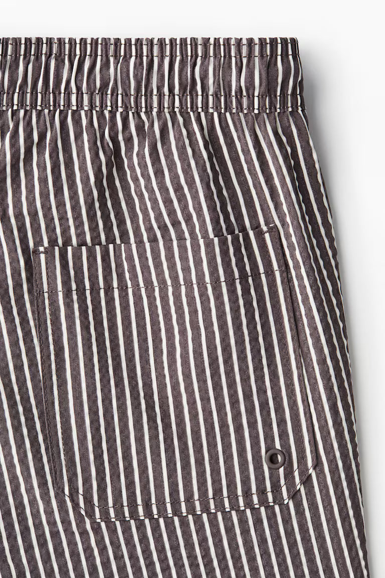 H&M Seersucker Swim Shorts