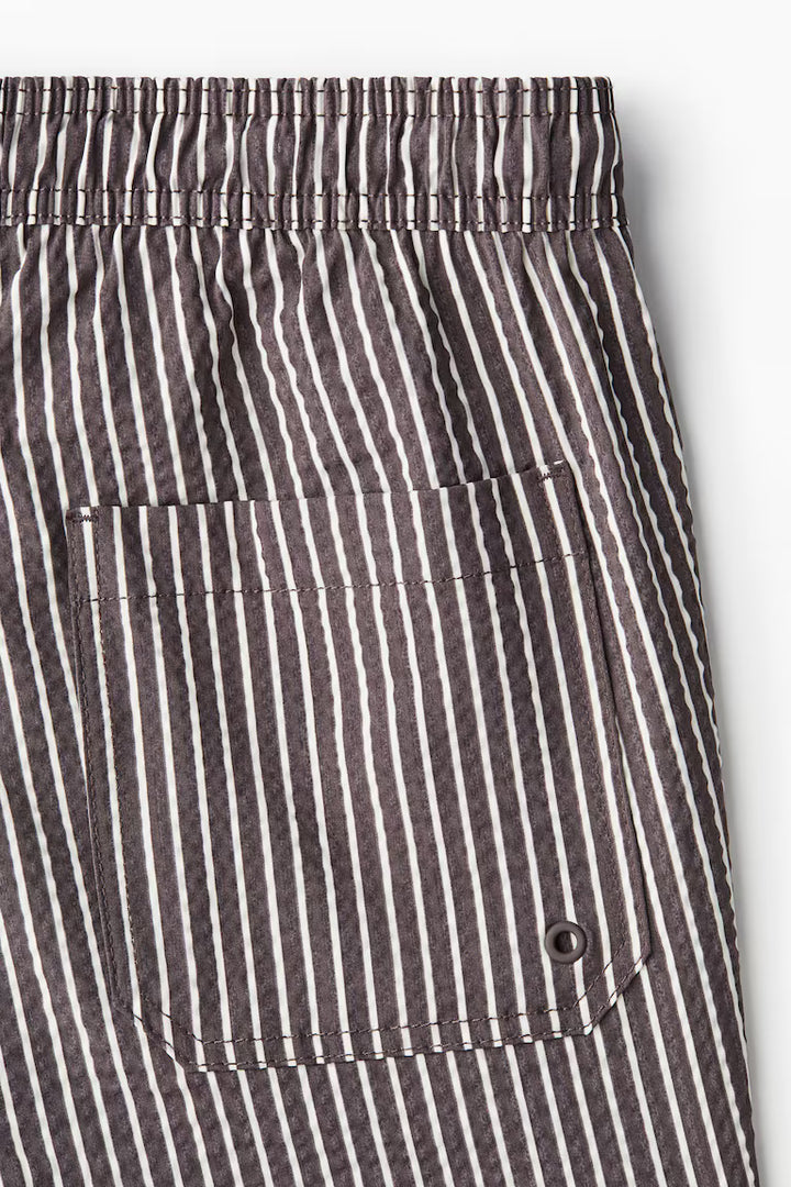 H&M Seersucker Swim Shorts