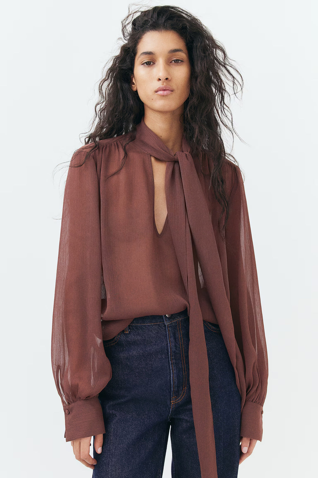 H&M Tie-Neck Chiffon Blouse
