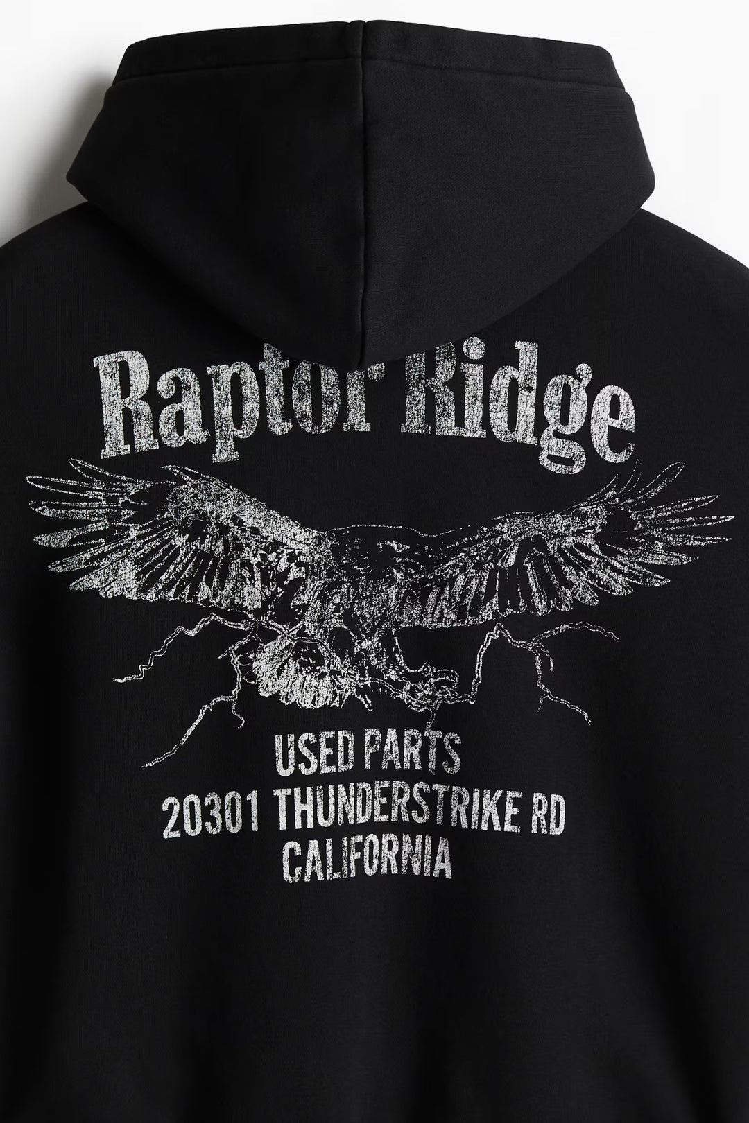 H&M Loose Fit Printed Hoodie