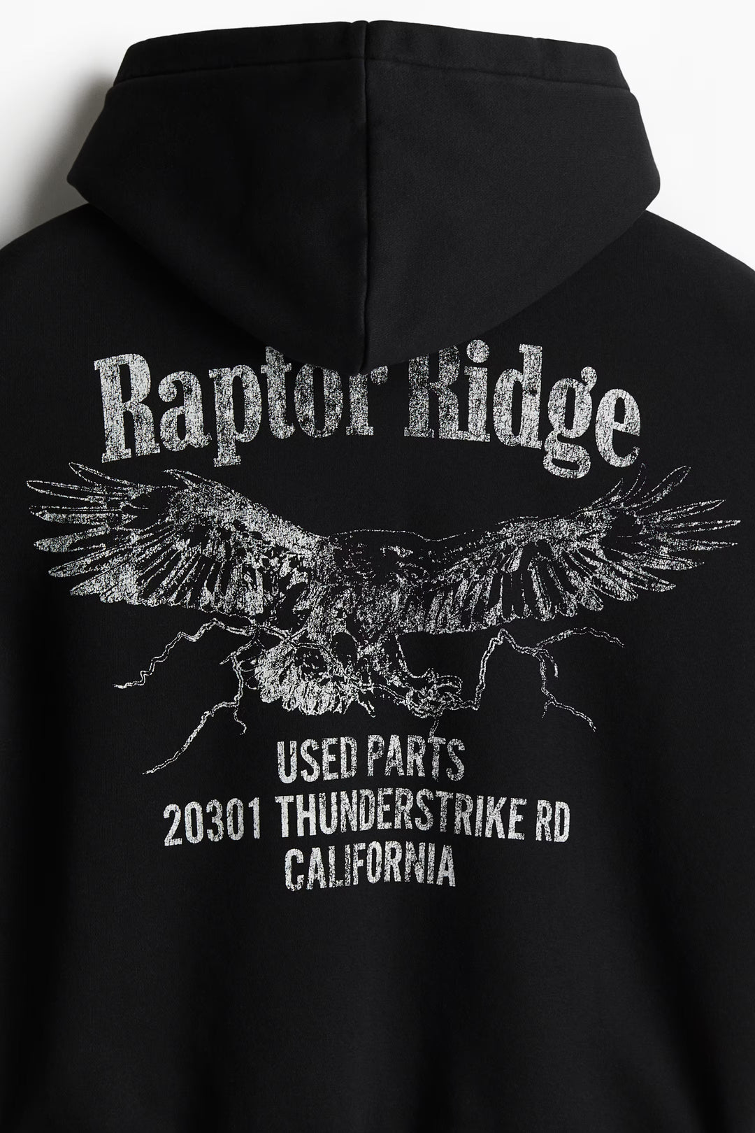 H&M Loose Fit Printed Hoodie