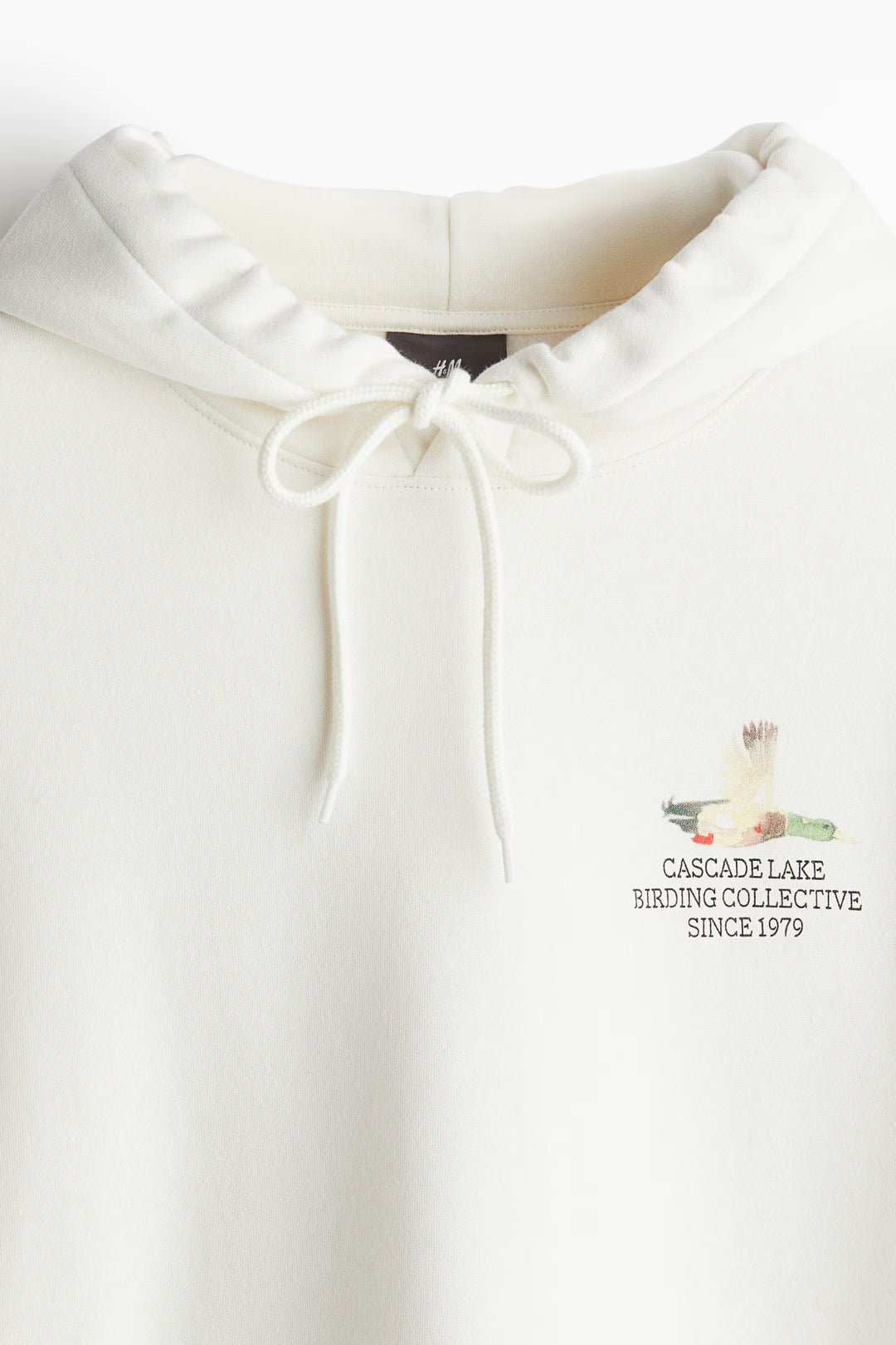 H&M Loose Fit Printed Hoodie