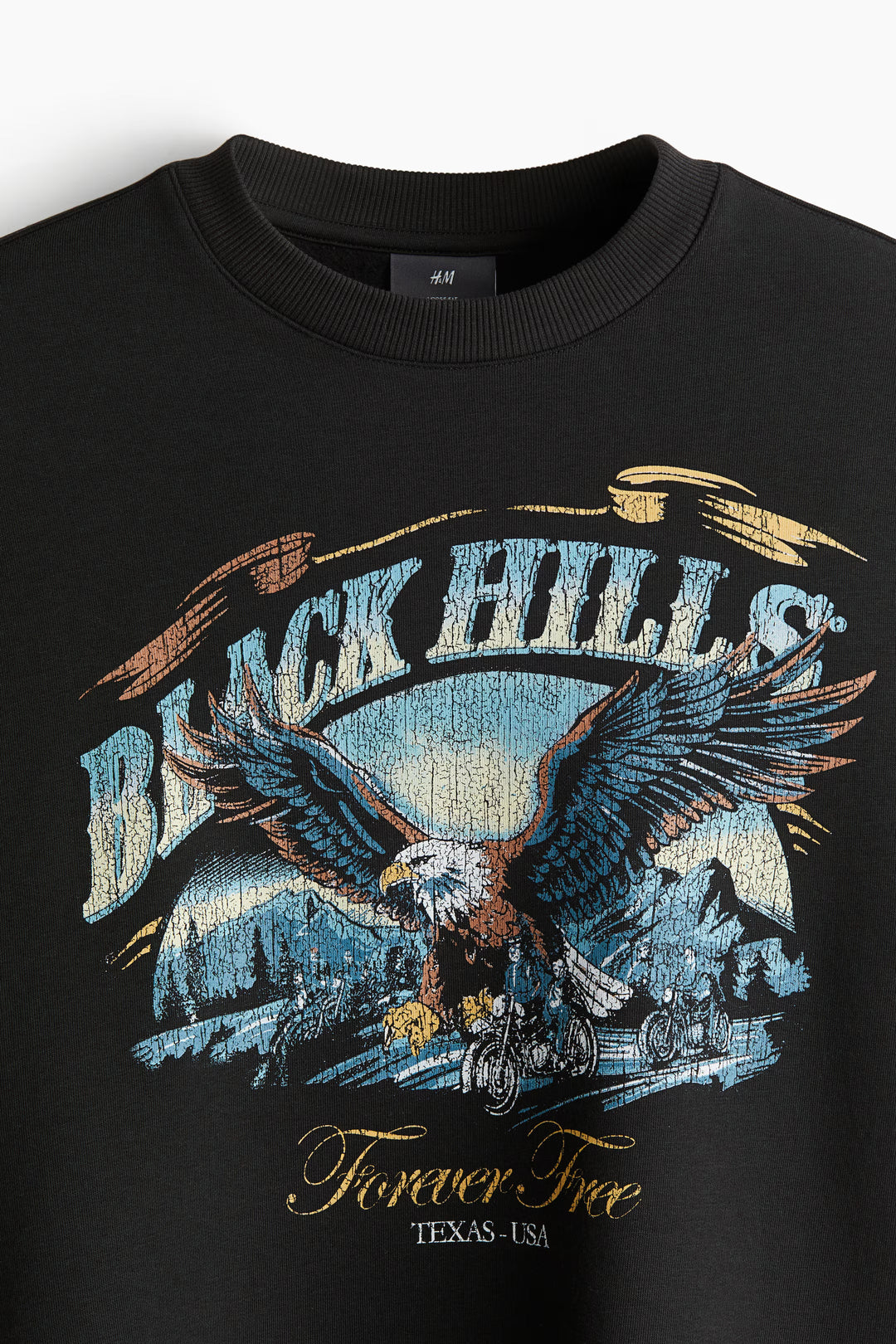 H&M Loose Fit Printed Sweatshirt