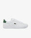 Team Dark Green / White