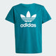 Legacy Teal