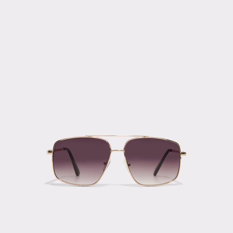 ALDO Baeberiel Sunglasses