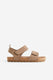 taupe brown