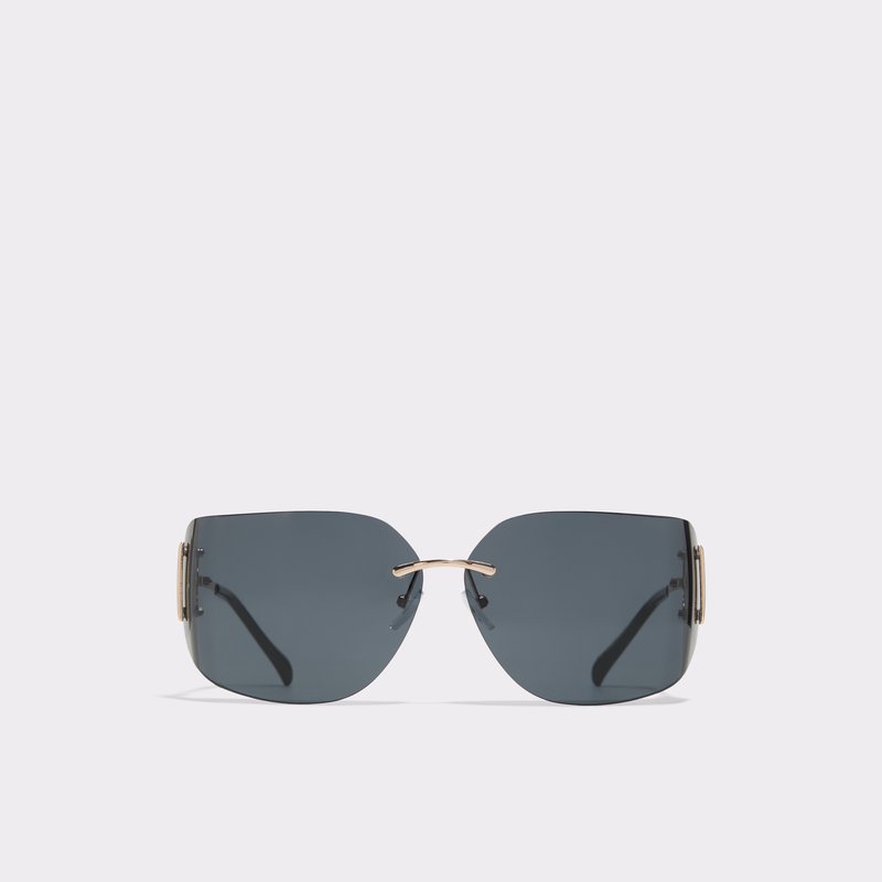 ALDO New Pigowenx Square sunglasses