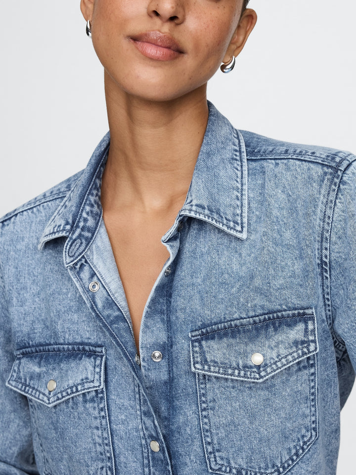 Gap UltraSoft Classic Shirt