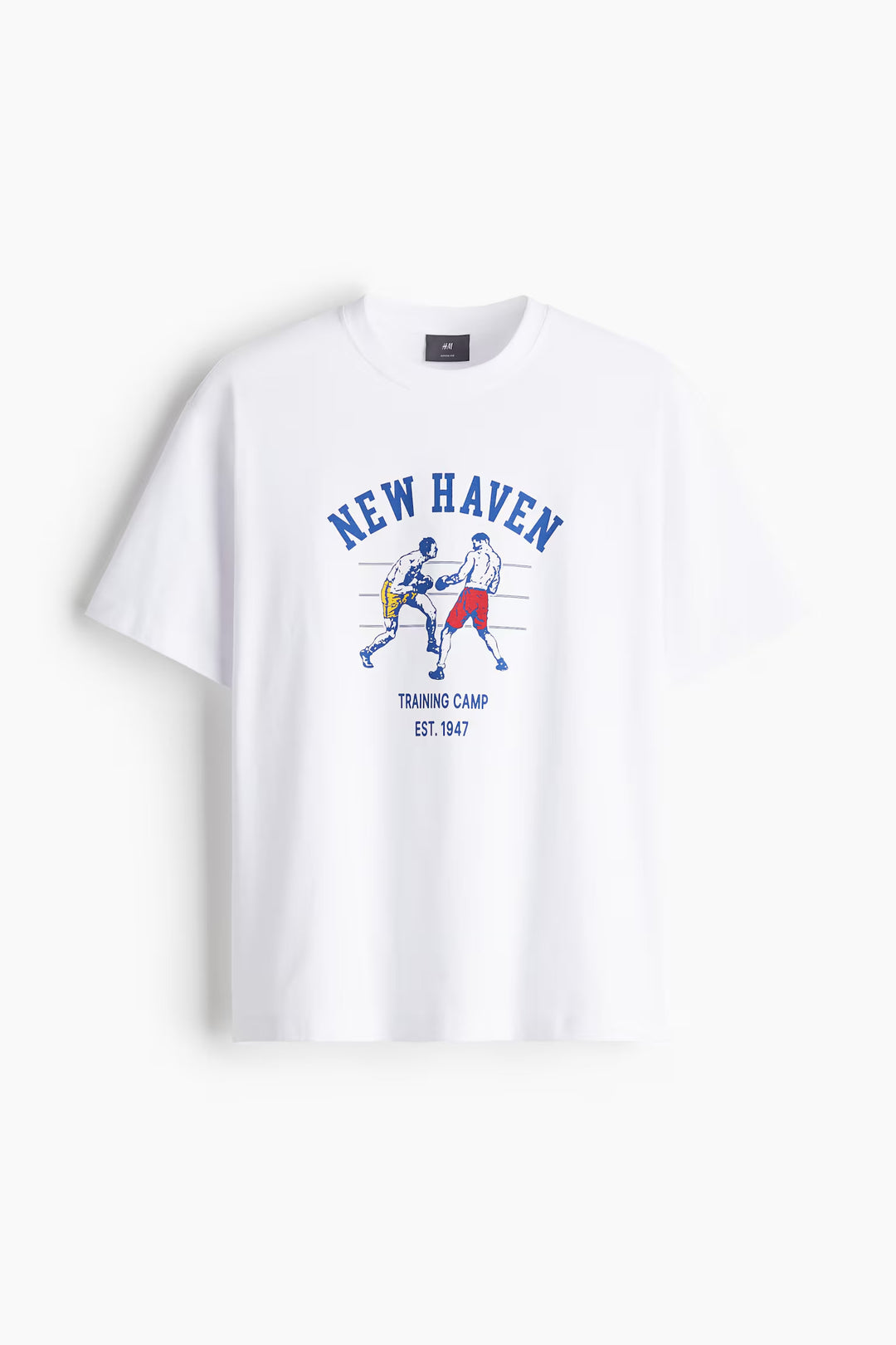 H&M Loose Fit Printed T-shirt