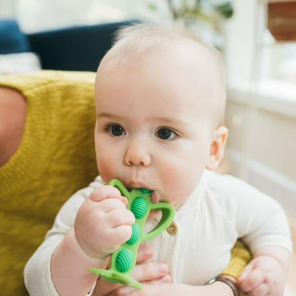 Dr. Brown’s™ Teether + Training Toothbrush – Peapod
