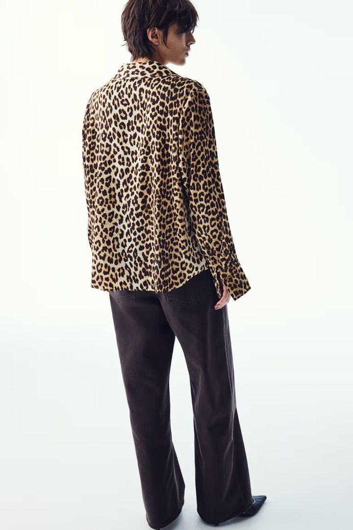 H&M V-neck Blouse