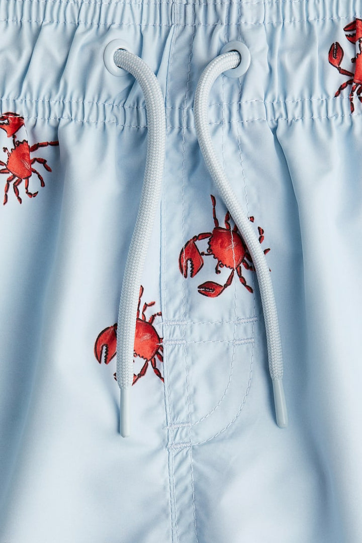 H&M Swim Shorts