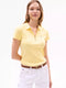 corn yellow