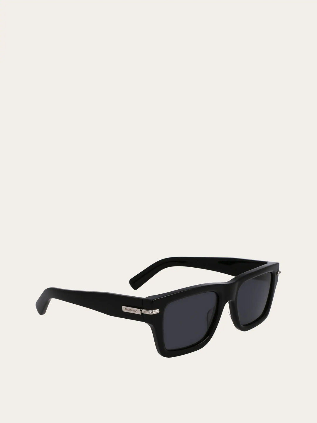 Ferragamo Sunglasses