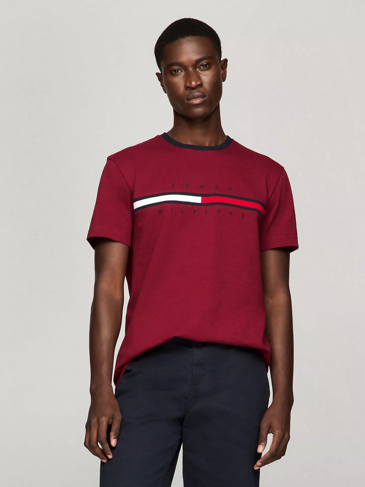 Tommy Hilfiger Embroidered Flag Logo T-Shirt