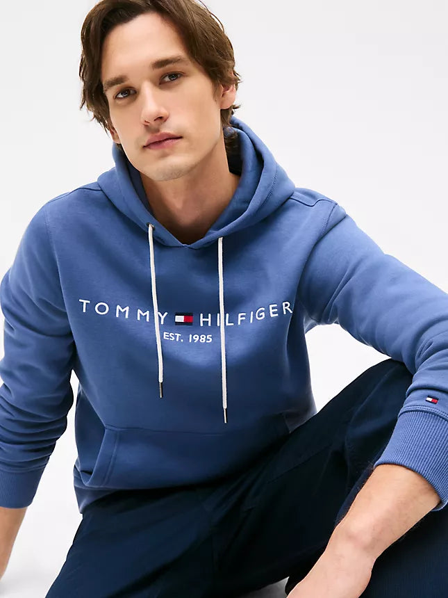 Tommy Hilfiger Embroidered Tommy Logo Hoodie