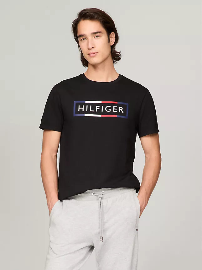 Tommy Hilfiger Signature Box Logo T-Shirt