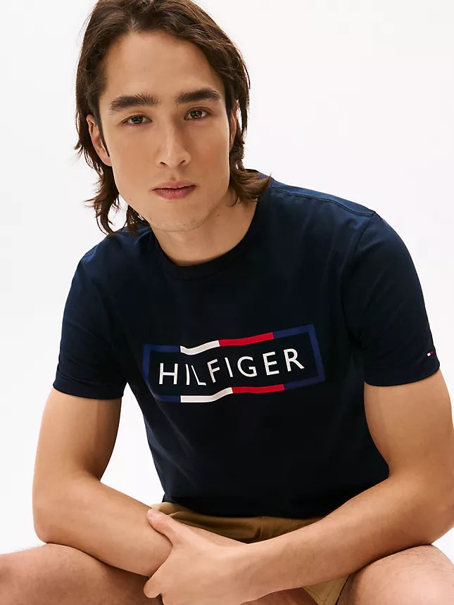 Tommy Hilfiger Signature Box Logo T-Shirt