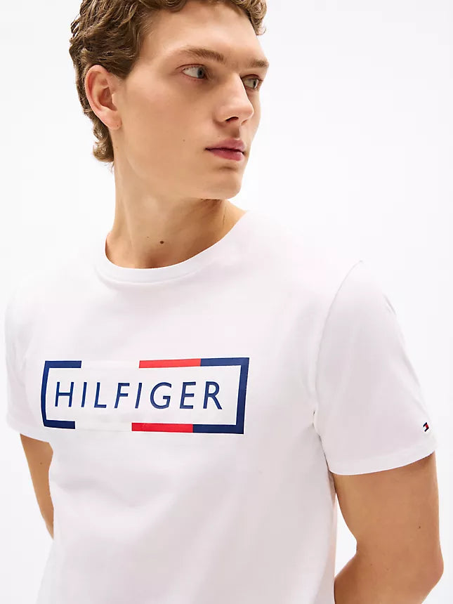 Tommy Hilfiger Signature Box Logo T-Shirt