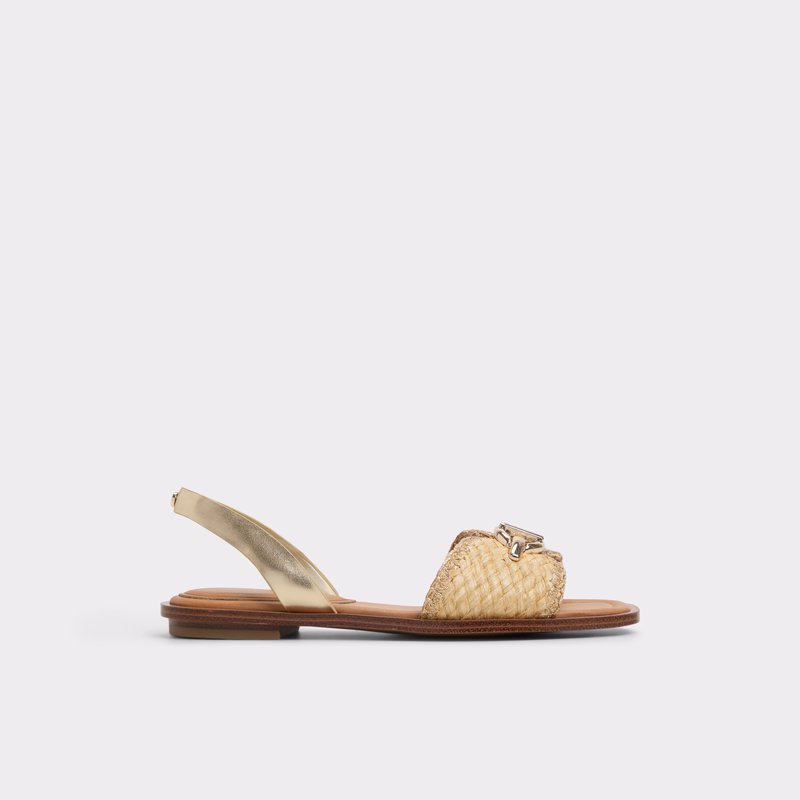 ALDO Goassi Flat sandal