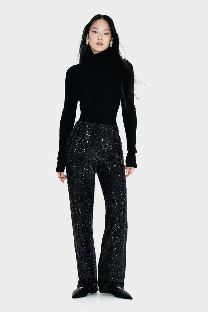 H&M  Sequined Pants