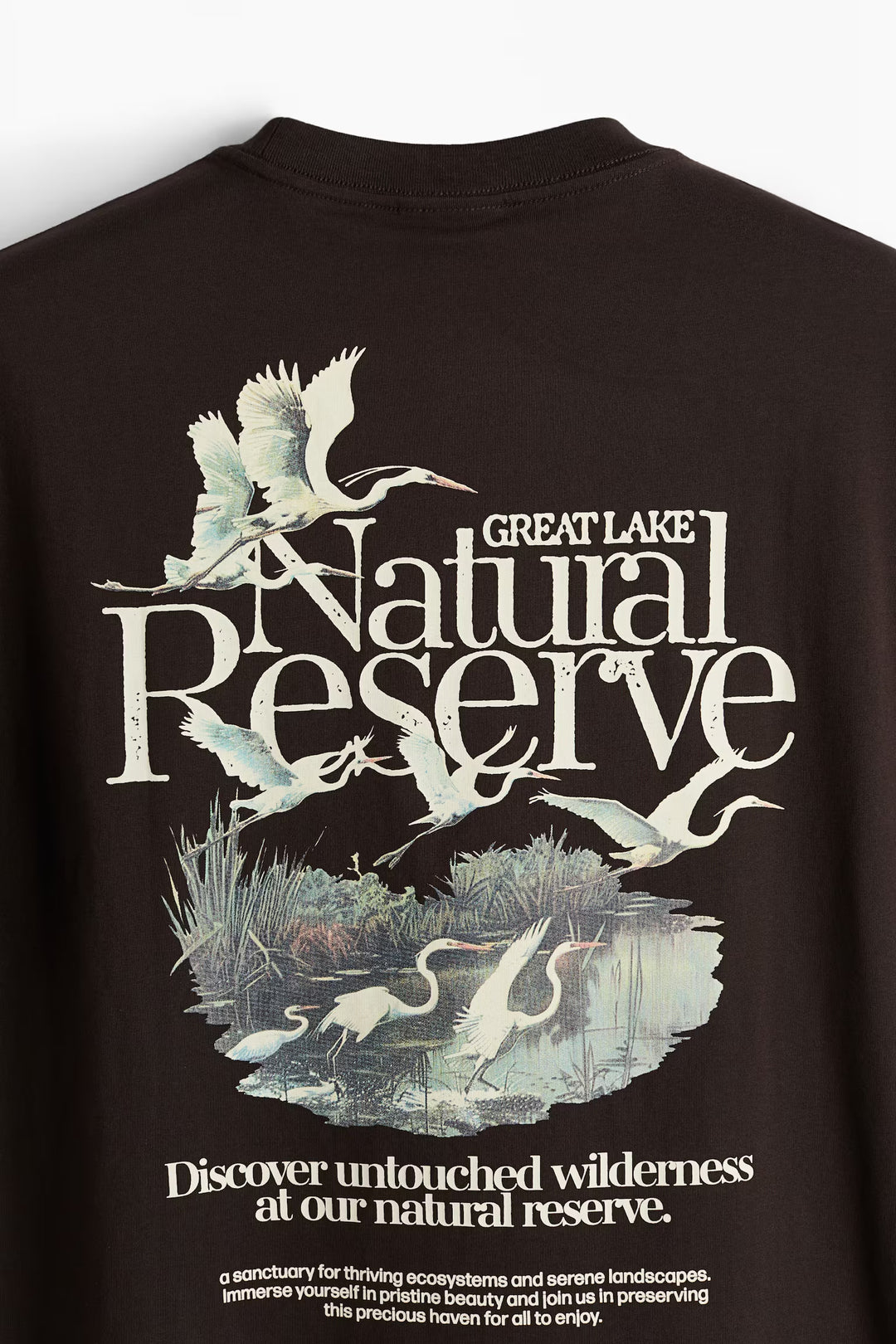 H&M Loose Fit Printed T-shirt