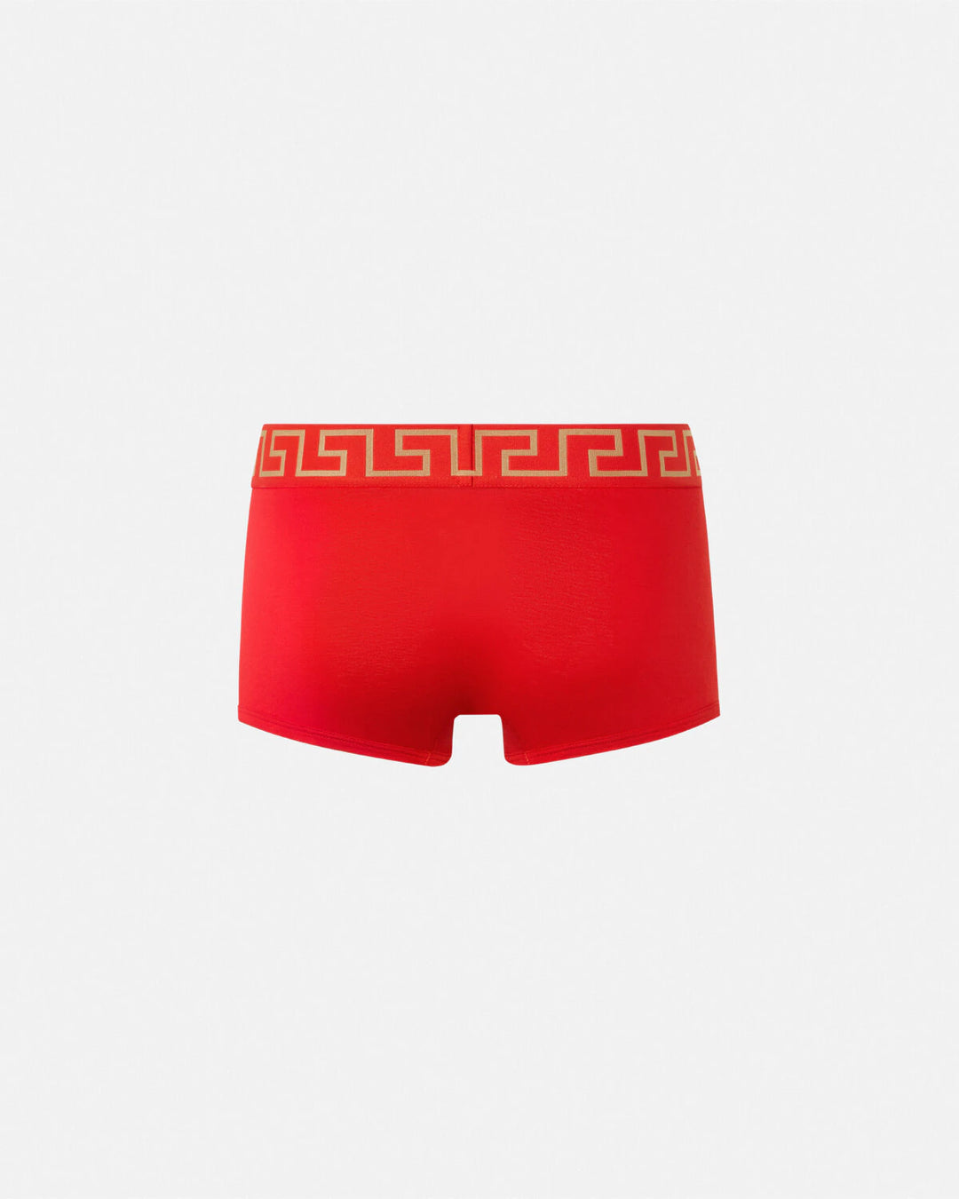 VERSACE GRECA BORDER TRUNKS