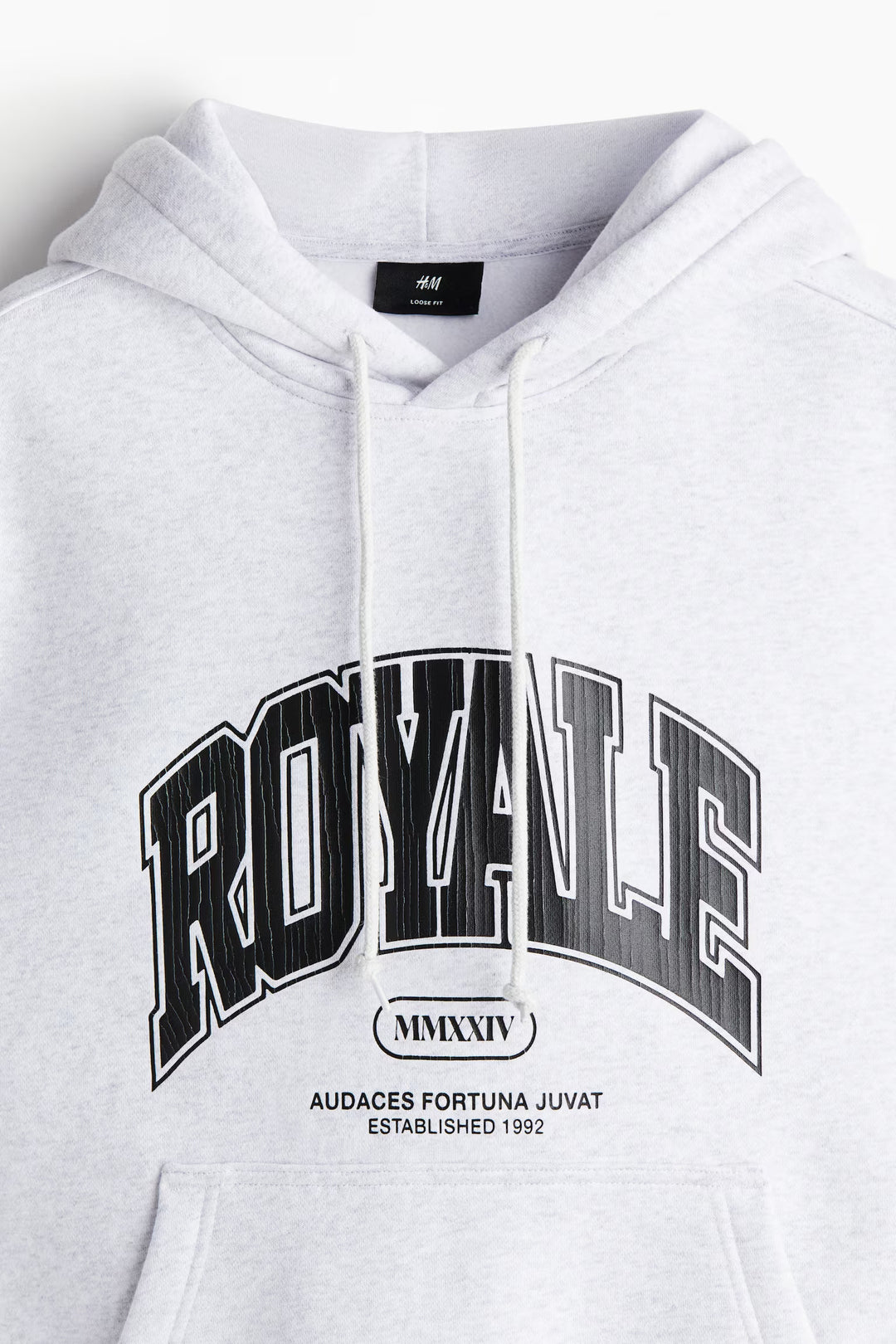 H&M Loose Fit Printed Hoodie