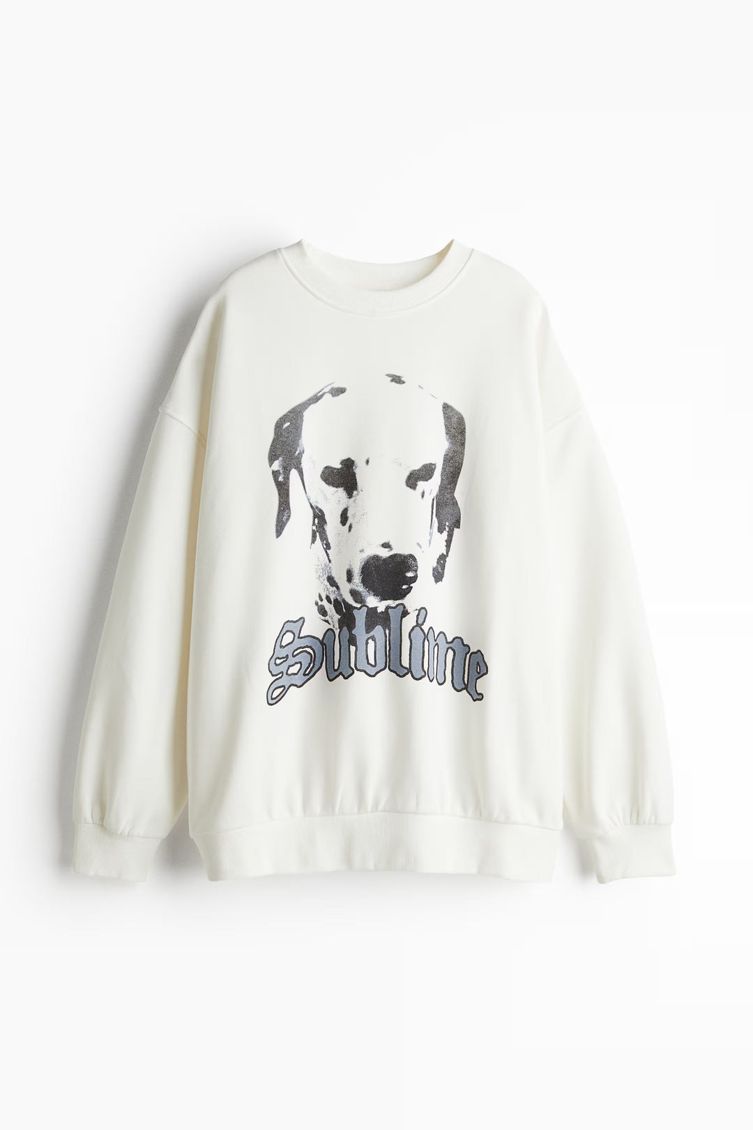 H&M Oversized Printed Sweatshirt