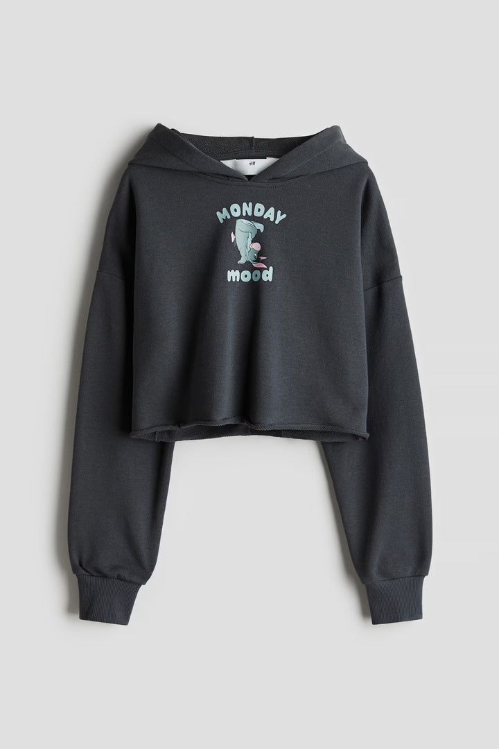 H&M Cropped Hoodie