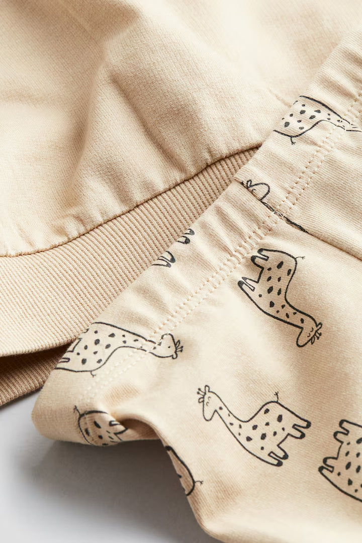H&M 2-piece Sweatshirt and Leggings Set