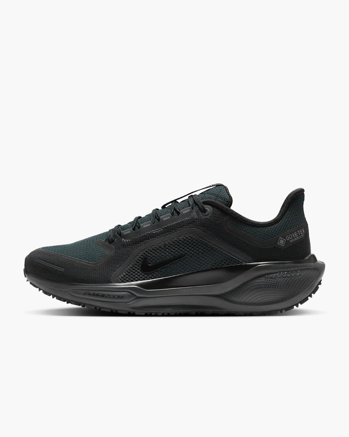 Nike Pegasus 41 GORE-TEX