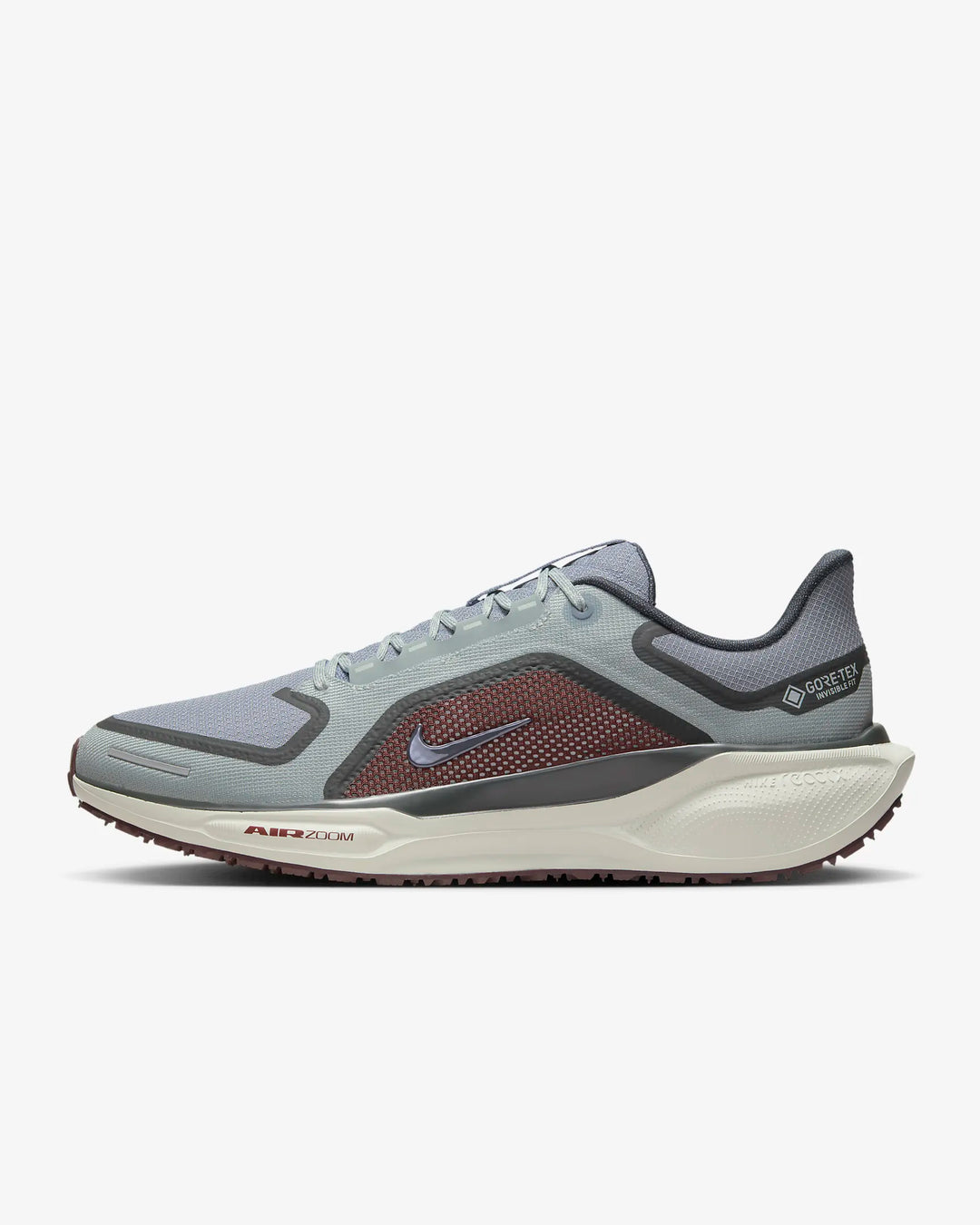 Nike Pegasus 41 GORE-TEX