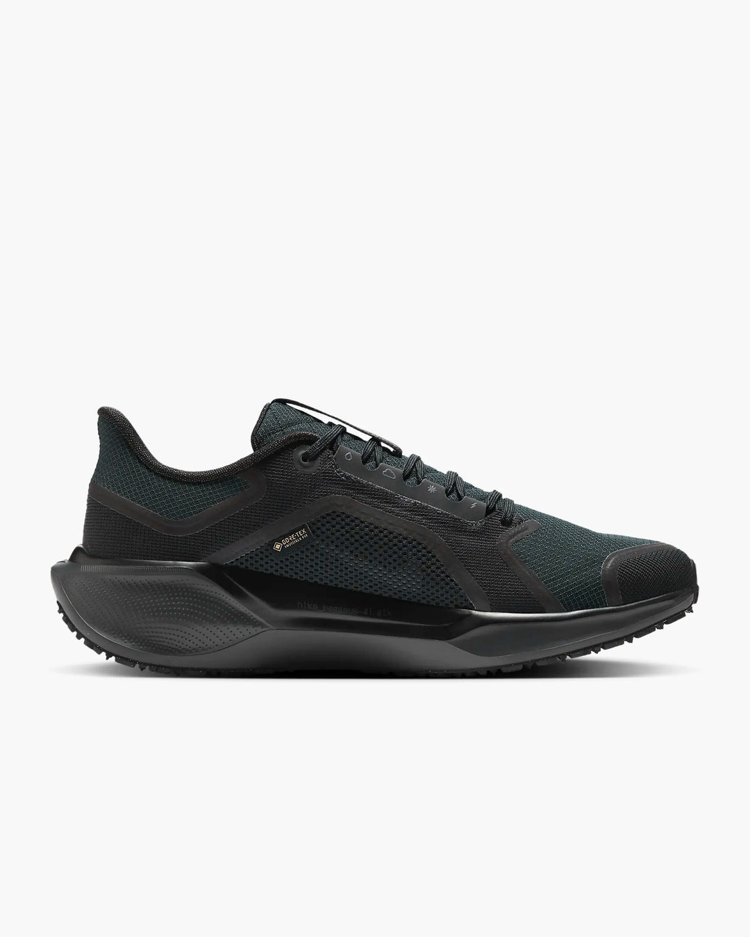 Nike Pegasus 41 GORE-TEX