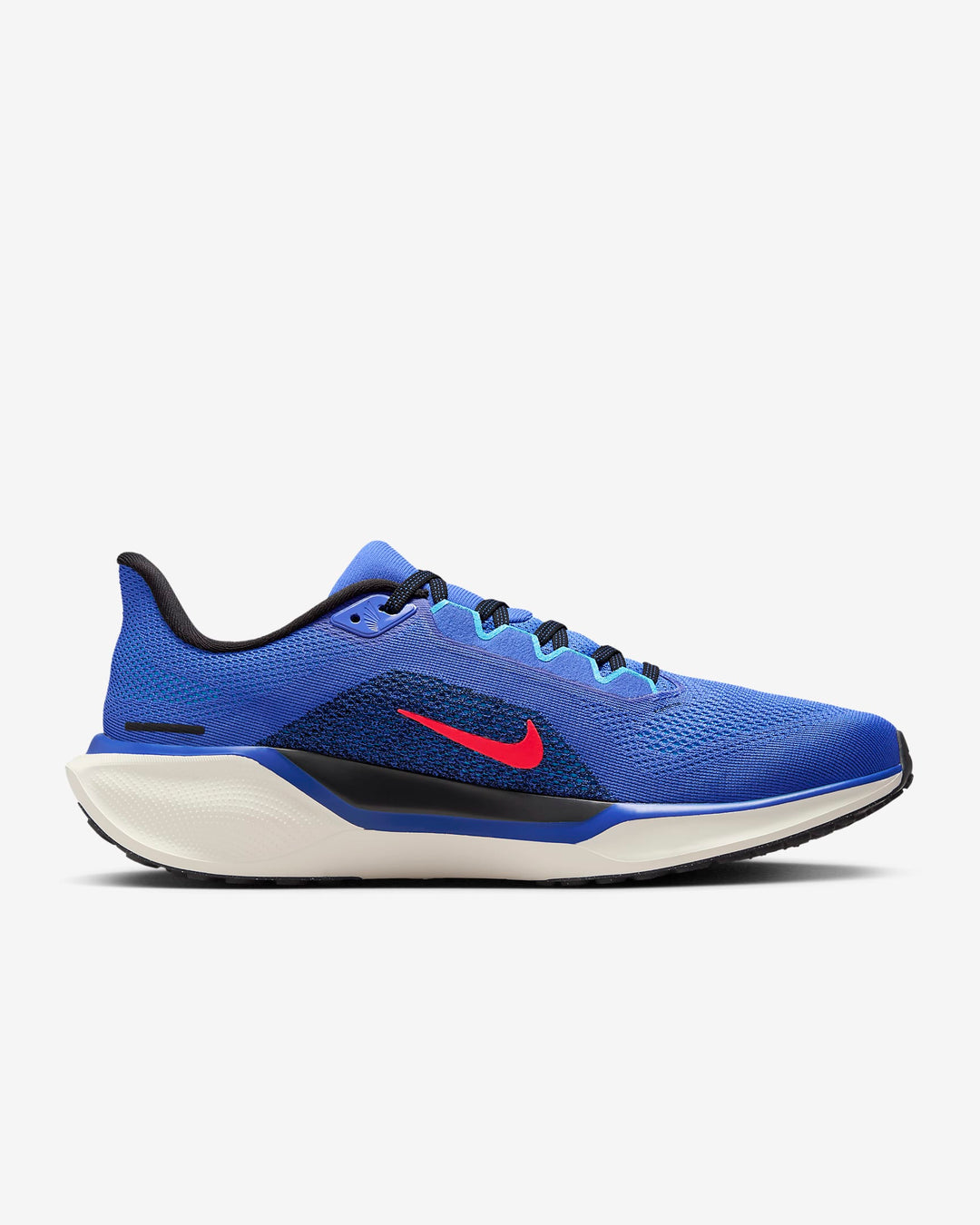 Nike Pegasus 41